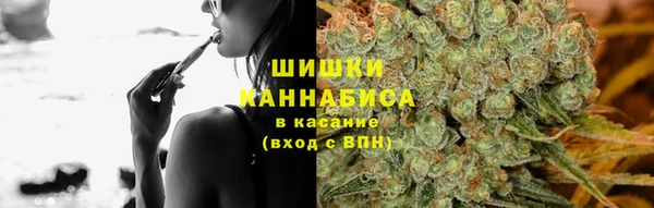 стаф Белокуриха