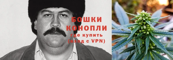стаф Белокуриха