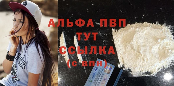стаф Белокуриха