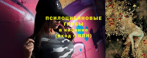 стаф Белокуриха
