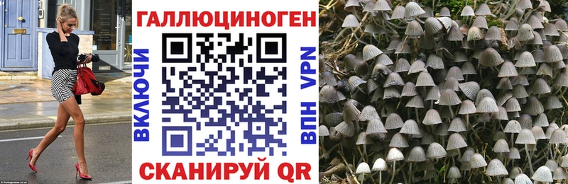 Галлюциногенные грибы мухоморы  где продают   Тихвин 